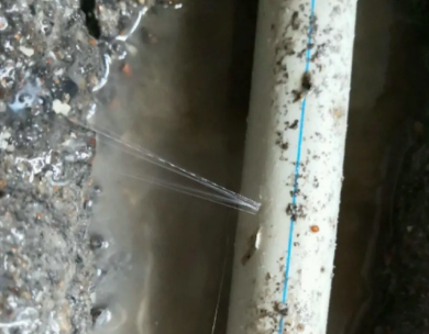 潍城测漏水哪家好